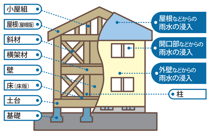 保険対象となる基本構造部分